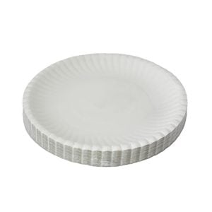 Paper Plates 50s