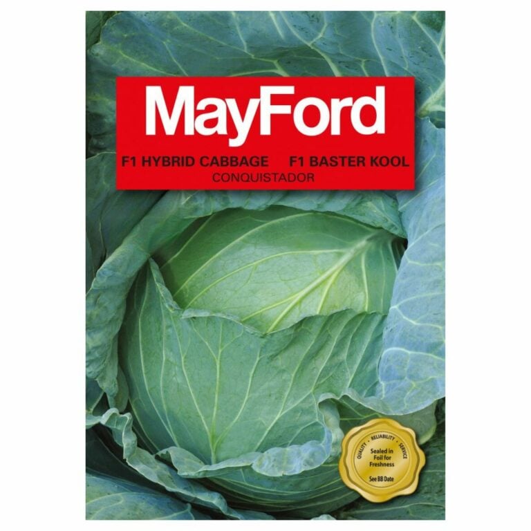 Mayford F1 Hybrid Cabbage Seeds Pack – Superb Hyper