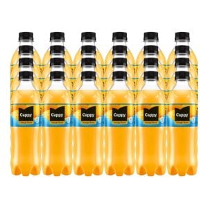 Cappy Orange Juice 24x500ml