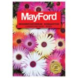 Mayford Livingstone Daisy Mix Seeds Pack