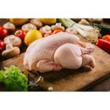Fresh Whole Bird 10X1