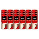 Cappy Still Apple 100% Fruit Juice Blend 24x330ml