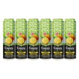 Cappy Still Tropical 100% Fruit Juice Blend 24x330ml