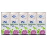 Coldem Pocket Tissue 10x1