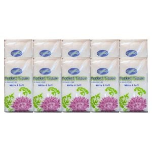 Coldem Pocket Tissue 10x1