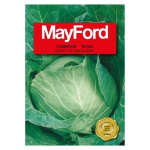 Mayford Cabbage Kool  Glory Of Enkhuizen Seeds Pack