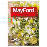 Mayford Cabbage Kool  Glory Of Enkhuizen Seeds Pack