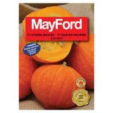 Mayford F1 Hybrid Squash Seeds Pack