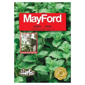 Mayford Herbs Kruie Catnip Seeds Pack