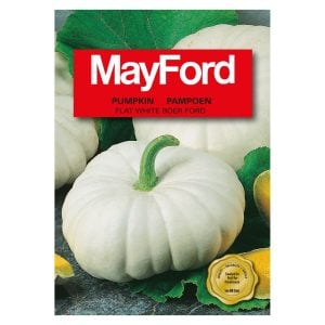 Mayford Pumpkin Pampoen Flat White Boer Ford Seeds Pack