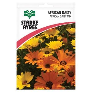 Starke Ayres African Daisy Mix Seeds