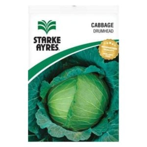 Starke Ayres Cabbage Drumhead Seeds