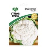 Starke Ayres Cauliflower Wallaby Seeds
