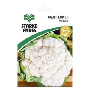 Starke Ayres Cauliflower Wallaby Seeds