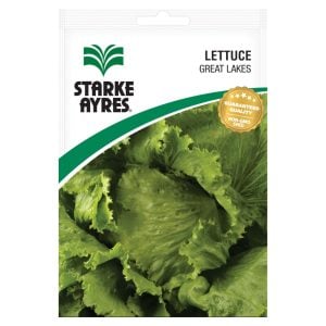 Starke Ayres Lettuce Great Lakes Seeds