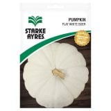 Starke Ayres Pumpkin Flat White Boer Seeds
