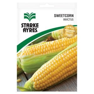 Starke Ayres Sweetcorn Invictus Seeds