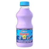 Tropika Blueberry Cheesecake Flavoured Dairy Fruit Mix 500ml