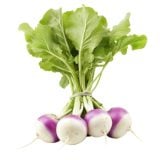 Turnip Bunch