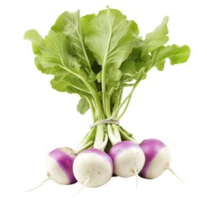 Turnip Bunch