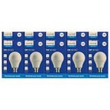 Illumin8 A60 B22 LED Globe 5w 10's