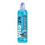 Vita 24 Vitamin Boost Blueberry Flavour 500ml