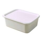 Ice Cream Container + Lid 2lt