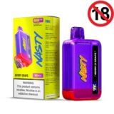 Nasty Disposable Vape Berry And Grape 9000 Puffs