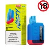 Nasty Disposable Vape Blackberry Ice 1200 Puffs