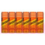 Schweppes Tangerine Flavour Soft Drink Can 24x300ml