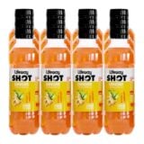 Lifeway Shot Ginger Tangawizi 12x200ml