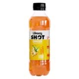 Lifeway Shot Ginger Tangawizi 200ml