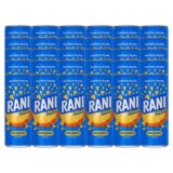 Rani Float Pineapple Flavoured Juice 30x240ml