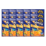 Amila Mango Apricot Powdered Drink 15x25gr