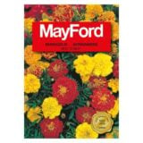 Mayford Marigold Boy 'O Boy Seeds Pack