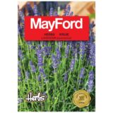 Mayford English Lavender Seeds Pack