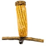 Qualipet Mealie Toy