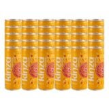 Kinza Orange Carbonated Drink 30x250ml